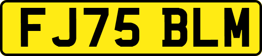 FJ75BLM