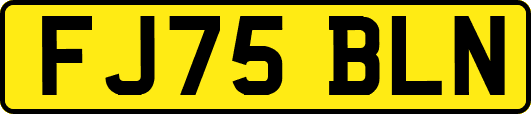 FJ75BLN