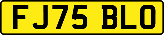 FJ75BLO