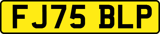 FJ75BLP