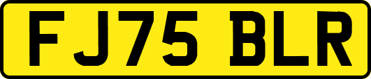 FJ75BLR