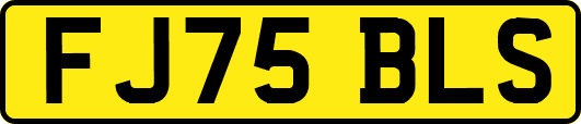 FJ75BLS