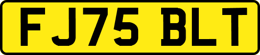 FJ75BLT