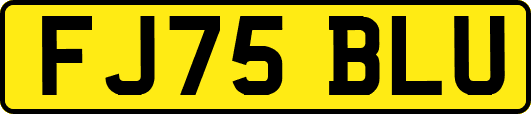 FJ75BLU