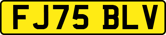 FJ75BLV