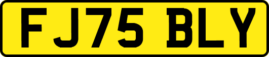 FJ75BLY