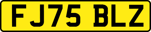FJ75BLZ