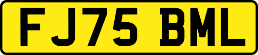 FJ75BML