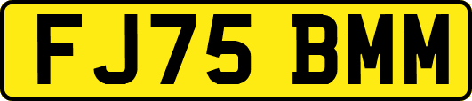 FJ75BMM