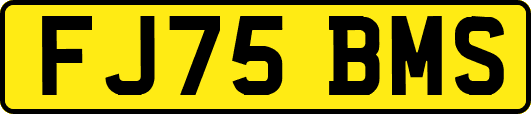 FJ75BMS