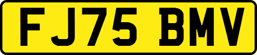 FJ75BMV