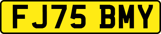 FJ75BMY