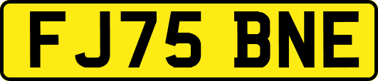 FJ75BNE