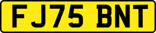 FJ75BNT