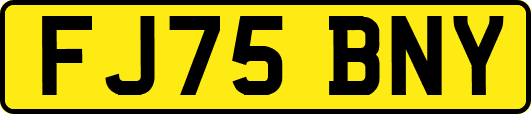 FJ75BNY