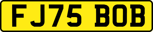 FJ75BOB