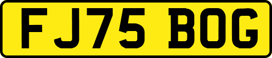 FJ75BOG