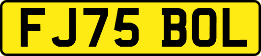 FJ75BOL
