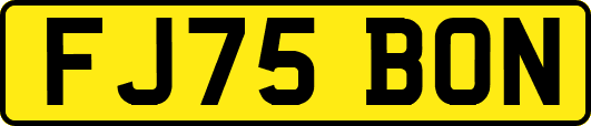 FJ75BON
