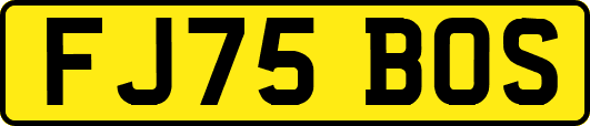 FJ75BOS