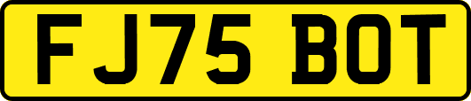 FJ75BOT