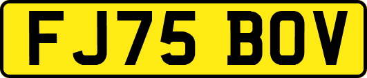 FJ75BOV