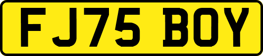 FJ75BOY