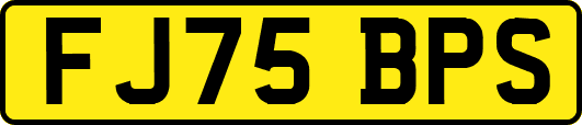 FJ75BPS