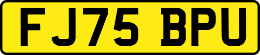 FJ75BPU