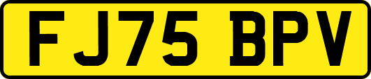 FJ75BPV