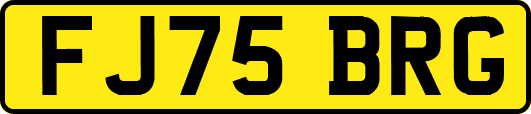 FJ75BRG