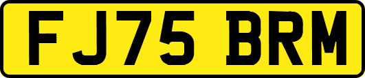 FJ75BRM