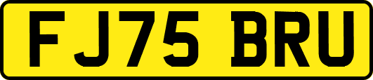 FJ75BRU