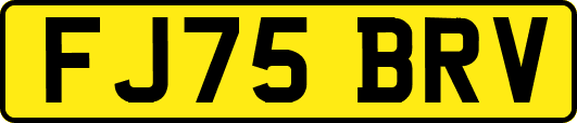 FJ75BRV