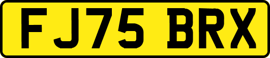 FJ75BRX