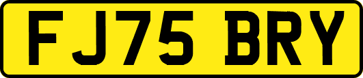 FJ75BRY