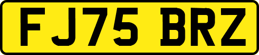 FJ75BRZ