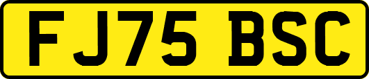 FJ75BSC