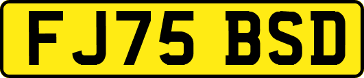FJ75BSD