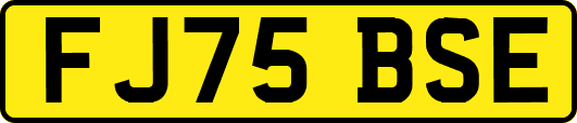 FJ75BSE