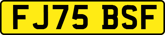 FJ75BSF