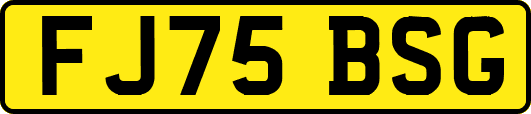 FJ75BSG