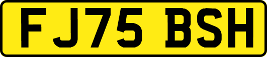 FJ75BSH