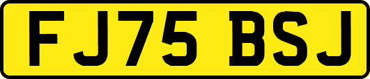 FJ75BSJ