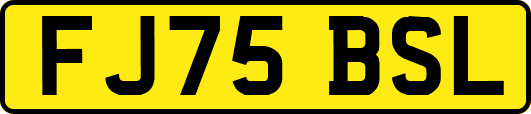FJ75BSL