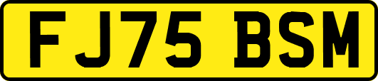 FJ75BSM