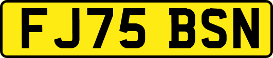 FJ75BSN