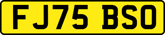 FJ75BSO