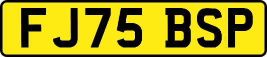 FJ75BSP