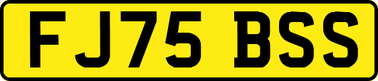 FJ75BSS